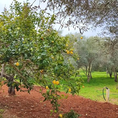 Casa Vacanze Da Nonna Mela Alghero Luaran gambar