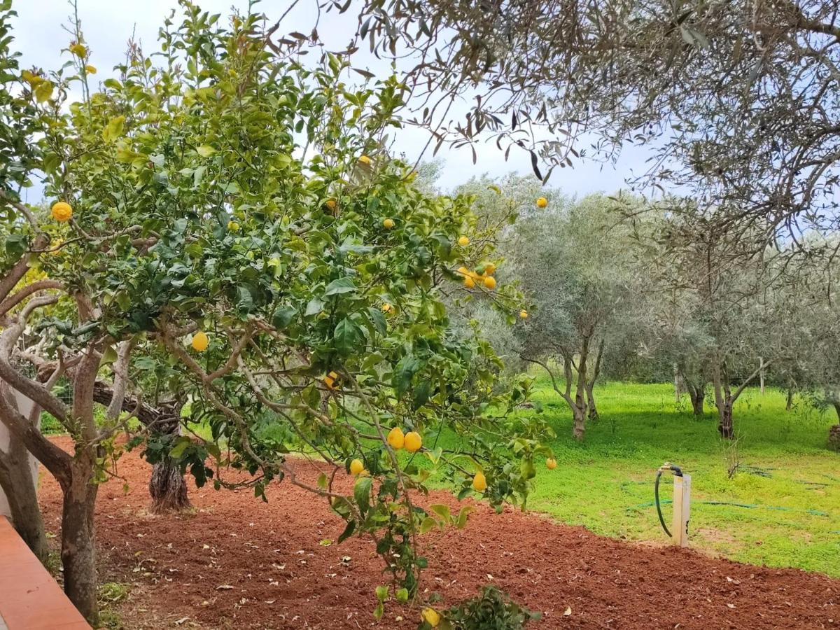 Casa Vacanze Da Nonna Mela Alghero Luaran gambar